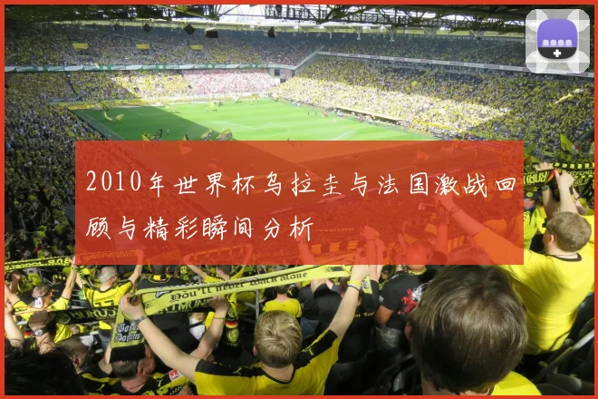2010年世界杯乌拉圭与法国激战回顾与精彩瞬间分析