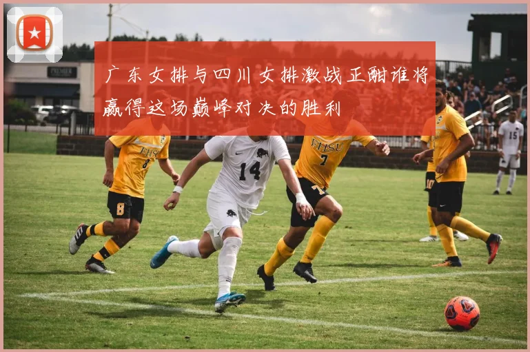 广东女排与四川女排激战正酣谁将赢得这场巅峰对决的胜利