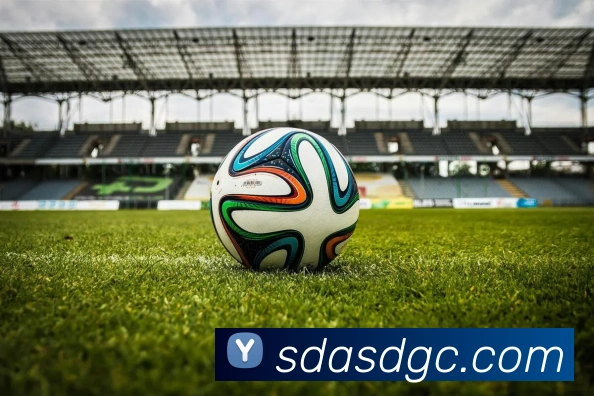 betway必威APP 高清赛事图